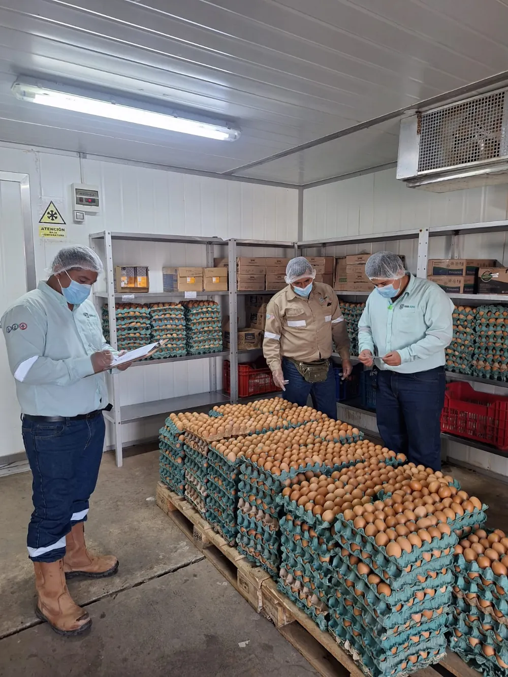 Almacén y logística de operaciones