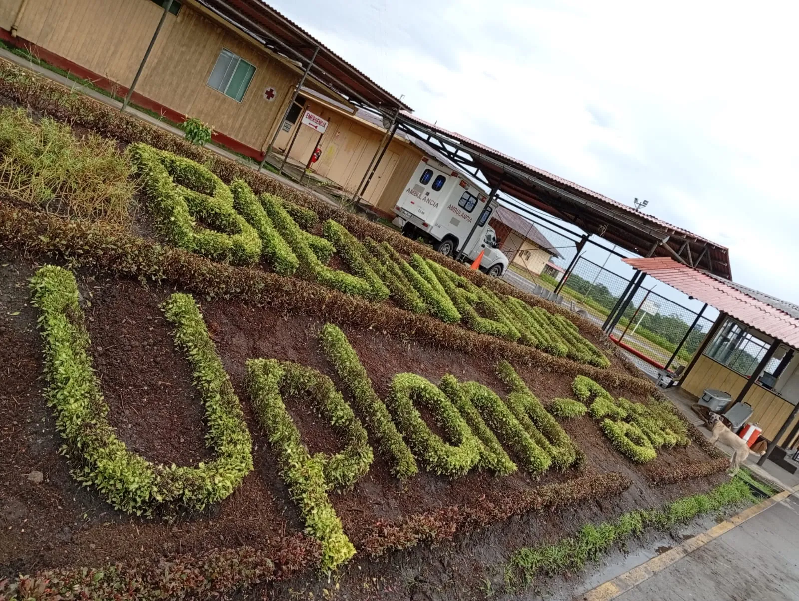 Jardín con la marca Yanapuma en las instalaciones del Lote 8