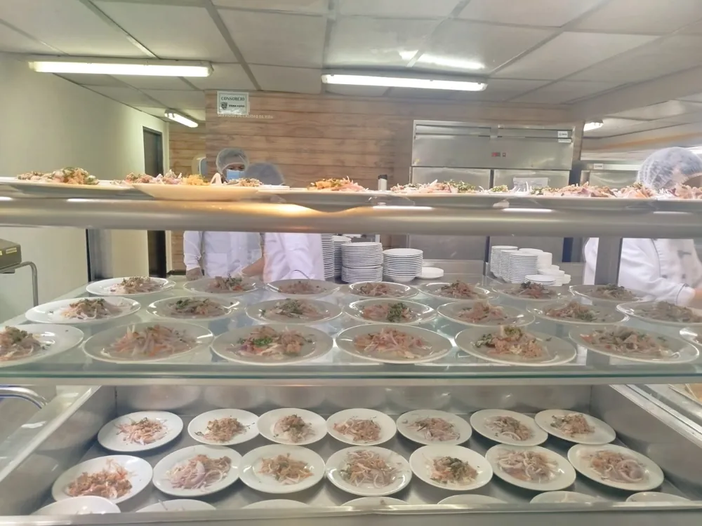 Platos preparados y emplatados del servicio de catering